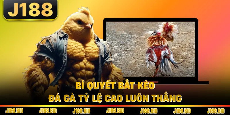 Bí quyết bắt kèo đá gà tỷ lệ cao luôn thắng