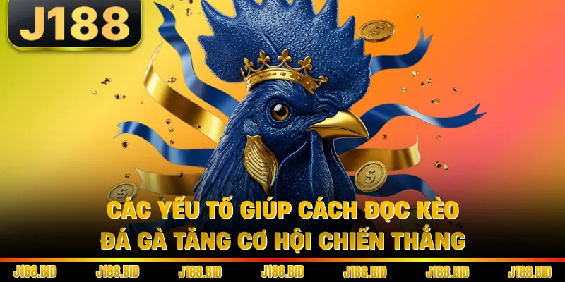 Các yếu tố giúp cách đọc kèo đá gà tăng cơ hội chiến thắng