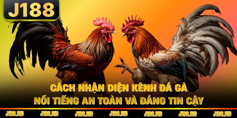 Cách nhận diện kênh đá gà nổi tiếng an toàn và đáng tin cậy