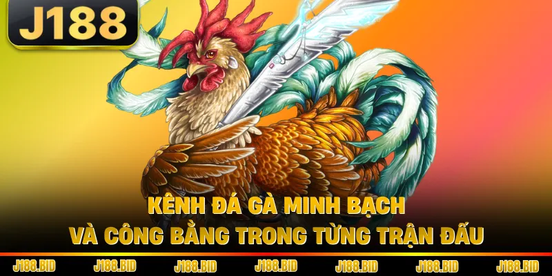 Kênh đá gà minh bạch và công bằng trong từng trận đấu