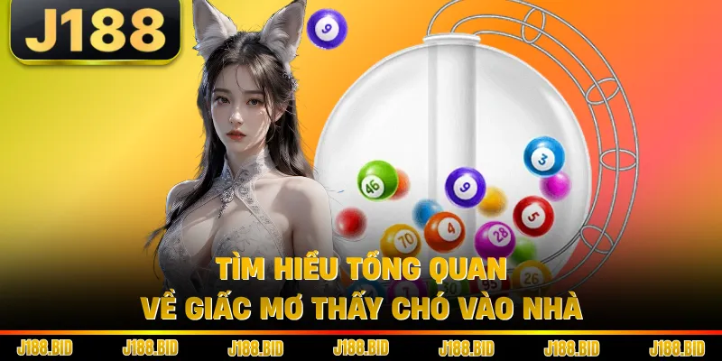 Tìm hiểu tổng quan về giấc mơ thấy chó vào nhà